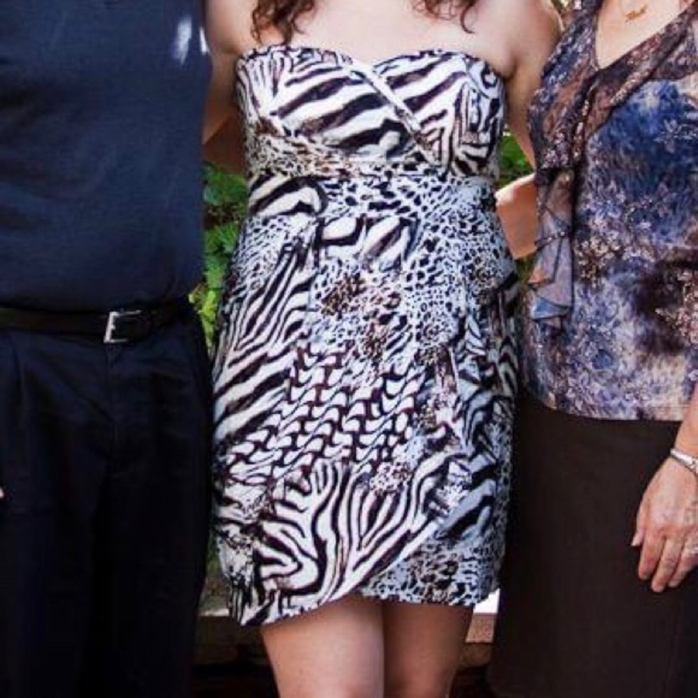 Leopard and Zebra Print Mini-Dress